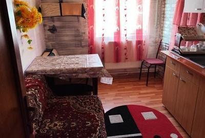 Apartament cu 2 camere decomandat în Broșteni - 2