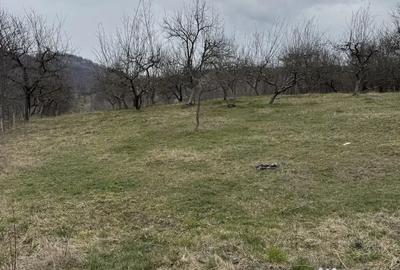 Teren de 3000 mp, în Cetățeni - 3