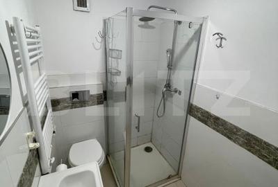 Apartament cu 2 camere, mobilat în Brazda lui Novac - 2