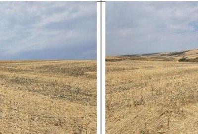 Teren Negureni, cota parte 1/8, ID: R2695094 - 9