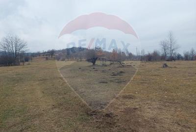 Teren de vanzare Comanesti zona Podina - 10