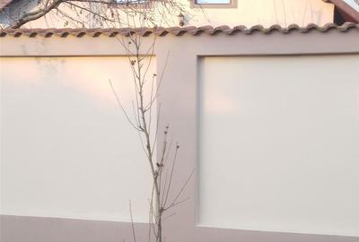 Casă cu 5 camere cu Teren 956 Mp în Balotești - 3