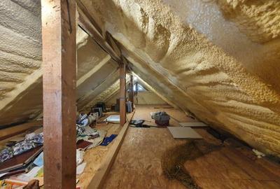 Vila in Burdujeni - 16