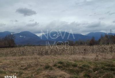 Teren de 2100 mp, în Poplaca - 3