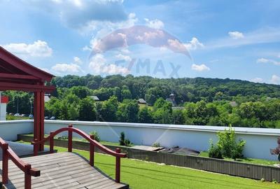 Birou, de 345 mp, în Gruia - 13