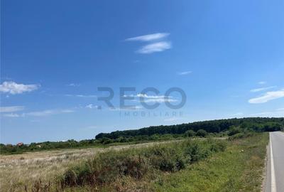 RECO Teren intravilan pentru casa- Les cu PUZ aprobat - 4