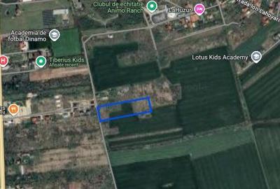 Teren intravilan de 5444 mp, în Săftica - 2