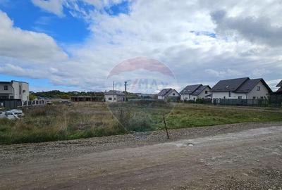 Teren de 720 mp, în Lisaura - 4