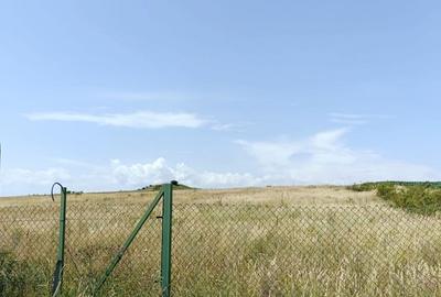 Teren extravilan Cluj, 1100 mp, apa si curent la limita proprietatii - 2