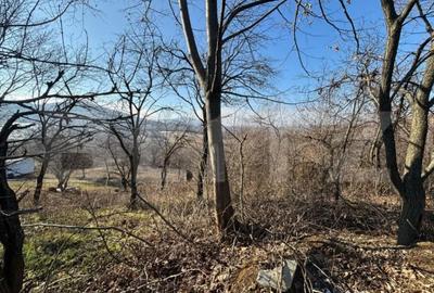 Teren de 17700 mp, în Central - 3