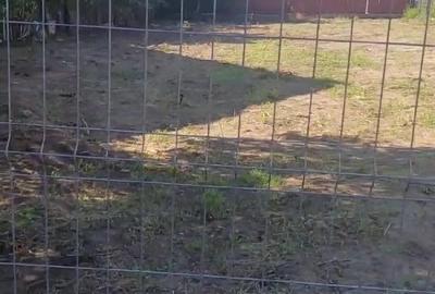 Teren de 1024 mp, în Schela - 2