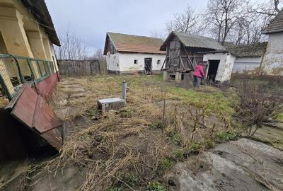 RECO Casa in Boiu - 3