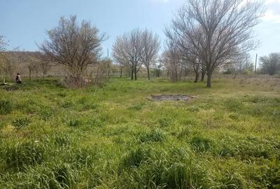 Casă cu 4 camere în Slava Rusă - 1