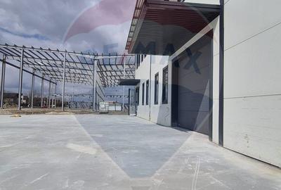Spațiu comercial, de 4,113 mp, în Tunari - 3