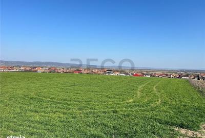 Teren de 5375 mp, în Oșorhei - 4