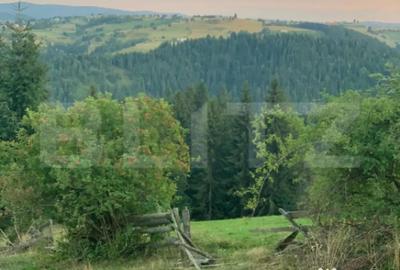 Teren în Mărișel - 8