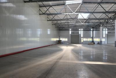 Hlala 4800 mp, 4,50 e/mp Hlala 4800 mp, 4,50 e/mp - 2