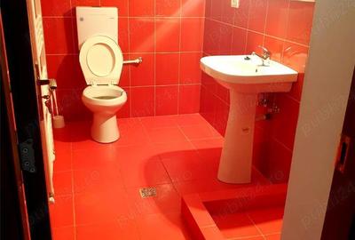 Casă cu 6 camere în Badea Cârțan