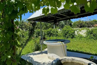 Casa individuala cu doua terenuri Casa individuala cu doua terenuri - 3