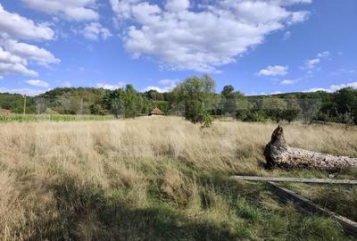 De vanzare casa, zona turistica Vadu Crisului - Bratca, cu t - 13