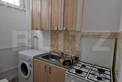 Garsoniera decomandata, 28 mp, pet friendly, zona Iulius Mall - 2