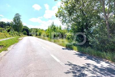 Teren intravilan 1281 mp utilitatile in fata parcelei zona de case noi Teren intravilan 1281 mp utilitatile in fata parcelei zona de case noi - 3