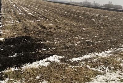 Spațiu comercial, în Satu Mare - 2