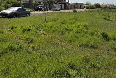 Spațiu comercial, în Central