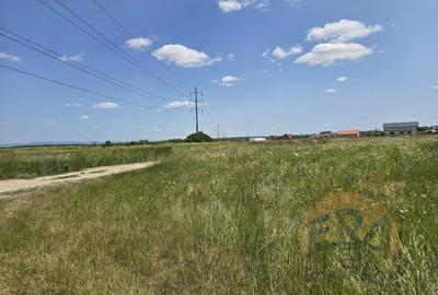 Teren intravilan | Dublu Front | 750mp | Cheriu - 2
