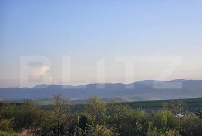 Teren de 1150 mp, în Sălicea - 1