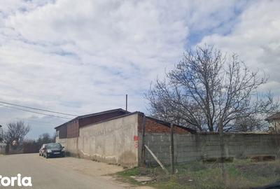 Teren de 1000 mp, în Malu Mare - 1