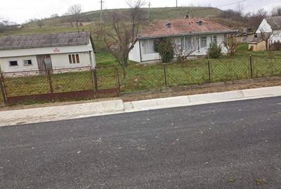 Vand Casa Ora?eni Vale - 2