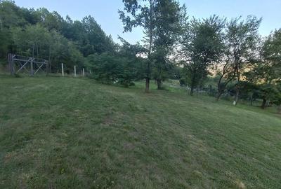 Casă cu 2 camere cu Teren 3600 Mp în Bejan - 2