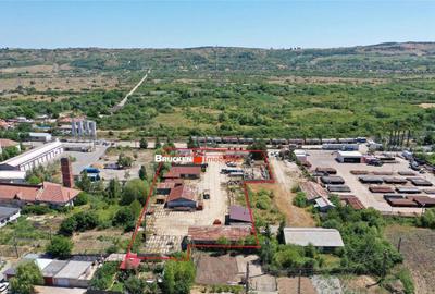 Teren industrial de 4.659 mp optional 1.000 mp Su... - 22