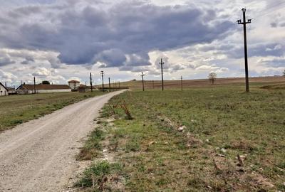Teren intravilan de 1 Ha, cu iesire la lac, pretabil parc fotovoltaic sau turism - 1