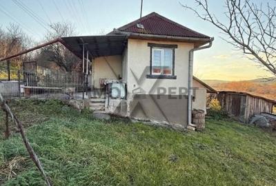 Casă cu 2 camere cu Teren 3200 Mp în Borșa - 2
