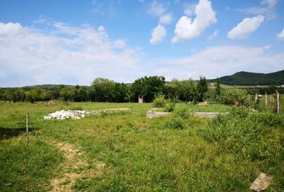 Casă cu 5 camere în Central