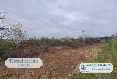 Teren de 3774 mp, în Oncea - 1