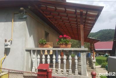 Casă cu Teren 2400 Mp în Cavnic - 3