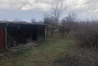 Casa  cu imbunatatiri, curte + livada Drajna de Jos / Prahova! - 5