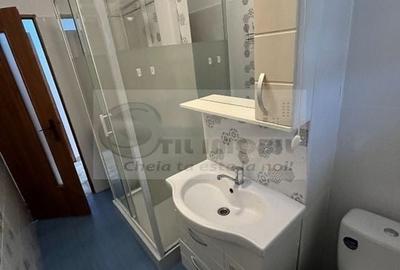 Apartament 3 camere Podu Roș - 450 euro - 12