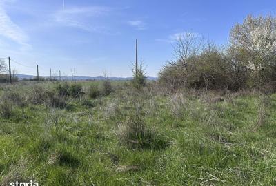Teren de 4800 mp, în Aninoasa - 1