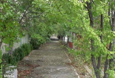 Casă cu 3 camere cu Canalizare în Izvorani - 4