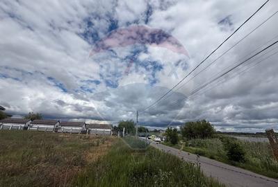 Teren intravilan de vânzare Pensiune Murighiol  Delta Dunării Tulcea - 6