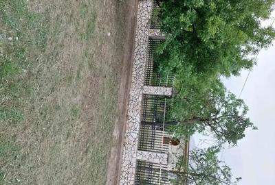 Casă cu 5 camere cu Teren 4000 Mp în Smârdan - 5