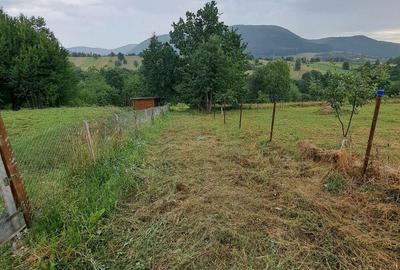 Teren de 1000 mp, în Viișoara - 10