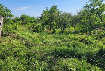Casa batraneasca laga Vama Albita, Casa batraneasca laga Vama Albita, - 10