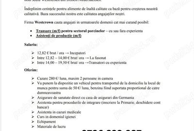 Westcrown angajeaza personal - 3