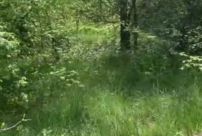 Teren Construcții intravilan de 500 mp, în Găneasa - 4