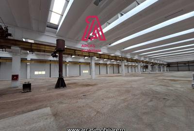 HALA DE INCHIRIAT-SPATIU INDUSTRIAL, 6857 MP-PARCUL INDUSTRIAL MARSA! - 2